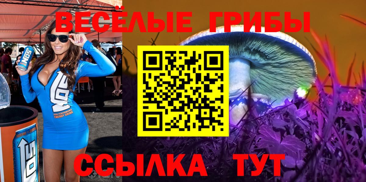 Псилоцибиновые грибы мухоморы  Галлюциногенные грибы мухоморы  Пушкино  Вход с VPN 